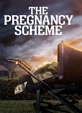 The-Pregnancy-Scheme-2023.